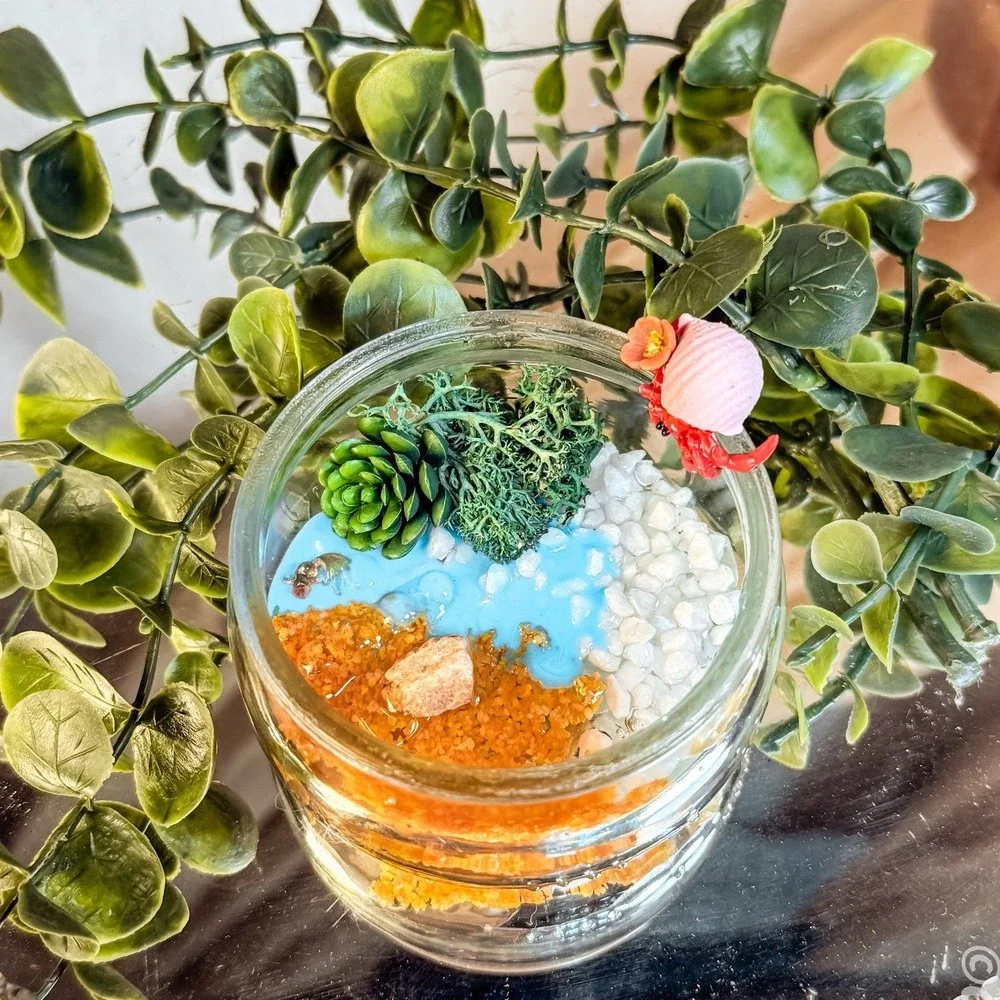 Mini Crab Terrarium
